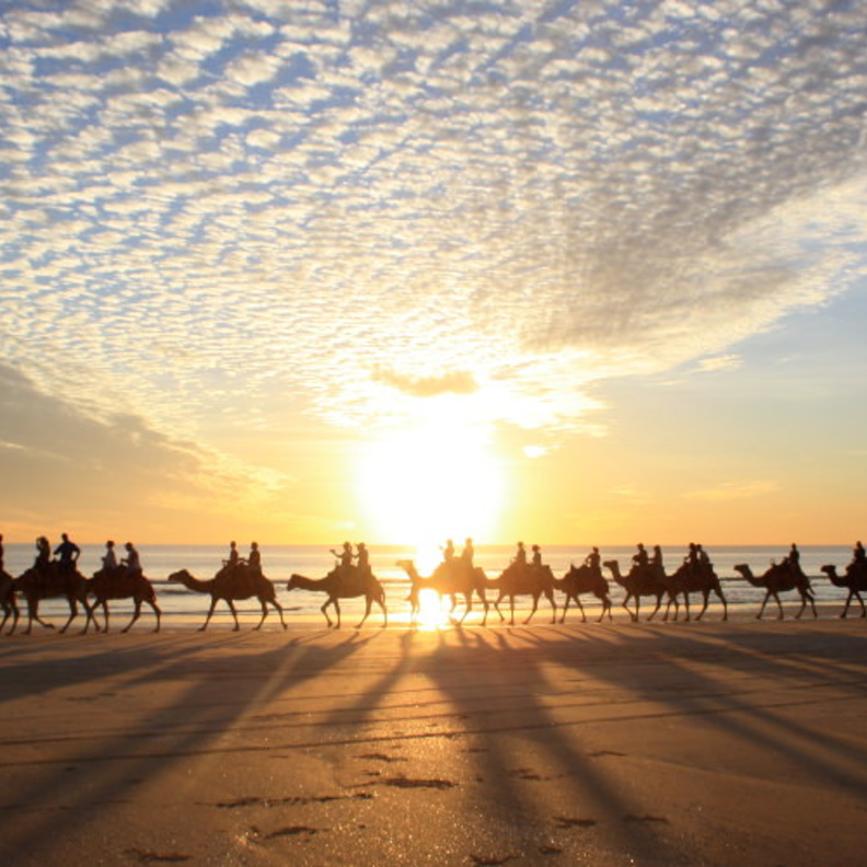 رحلة في شاطئ Whitehaven