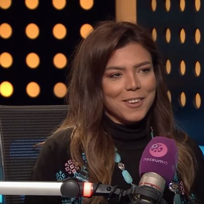 ناهد الشباعي 