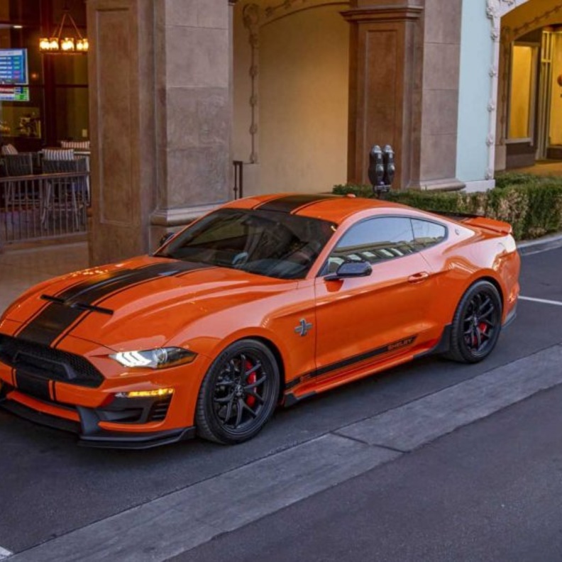 تأتي المقصورة ضمن خيارين من الفرش الأسود، بين المطعم باللون الأخضر، أو البرتقالي