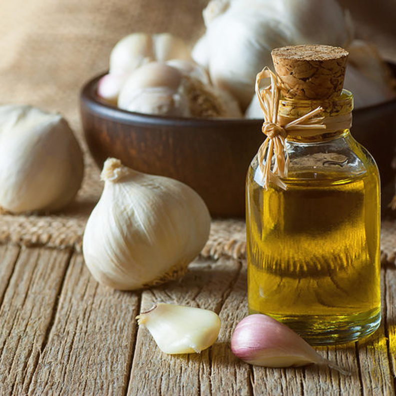  الثوم وزيت الزيتون من أهم المضادات الحيوية