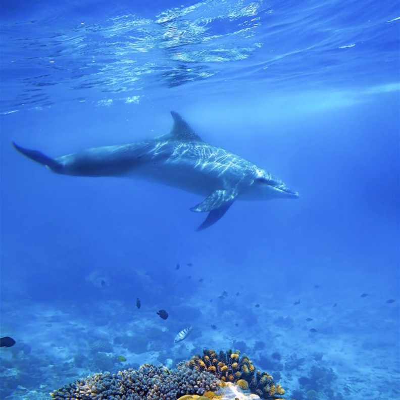 أفضل الجزر التي يمكنكم زيارتها في يناير 2020