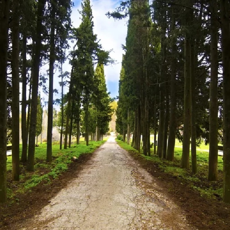 إستمتع بالمشي الجبلي في جبل بارنيثا