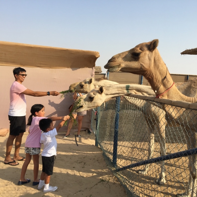  أنشطة متعددة بميزانية مناسبة مع QiDZ