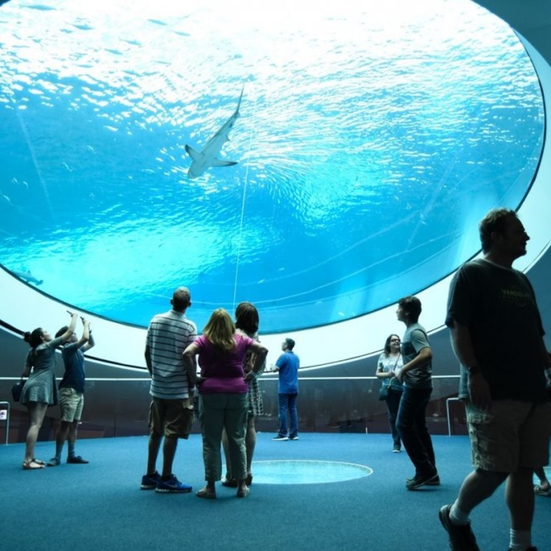 متحف باس للفنون (Bass Museum of Art) 