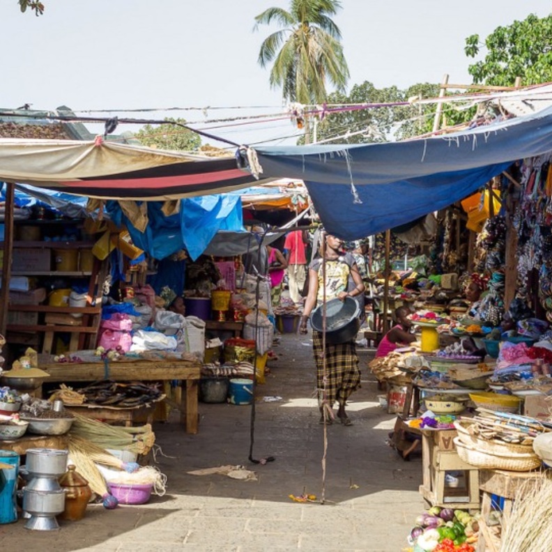 الحياة البرية في غامبيا