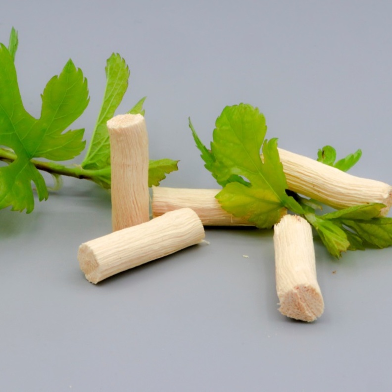 فوائد السواك لصحة الاسنان والفم