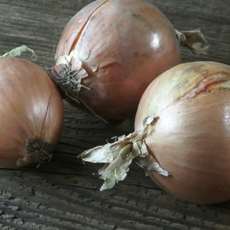 البصل المتعفن يمكن أن يسبب الوفاة
