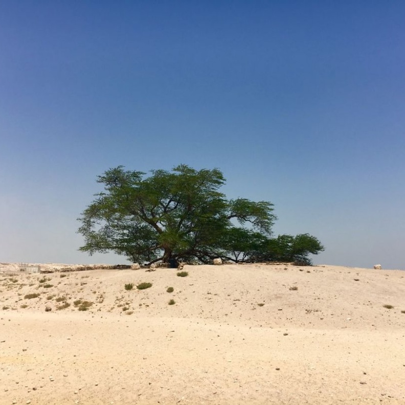  جبل الدخان (Jebel Al Dukhan)، المحافظة الجنوبية