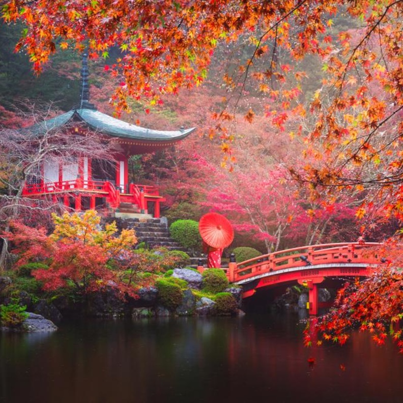  استوديوهات يونيفرسال في اليابان