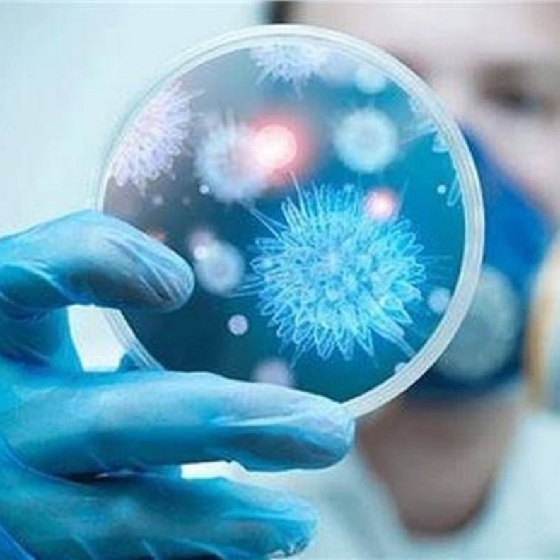 فيروس كورونا الجديد