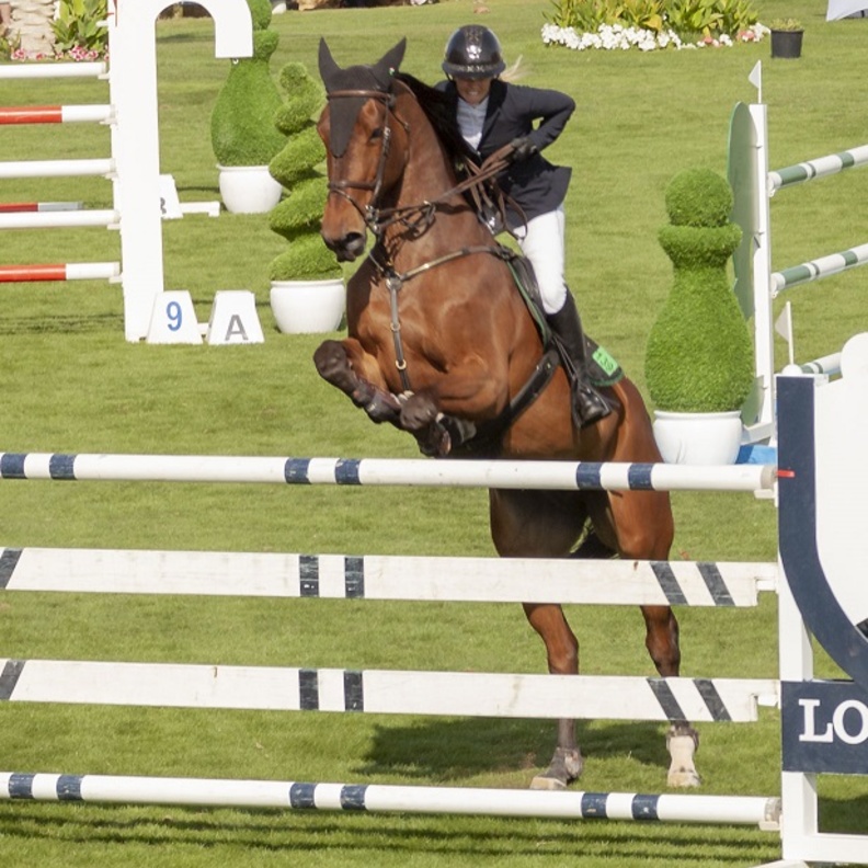 المدينة المستدامة تستضيف بطولة الخيول الدولية 2020