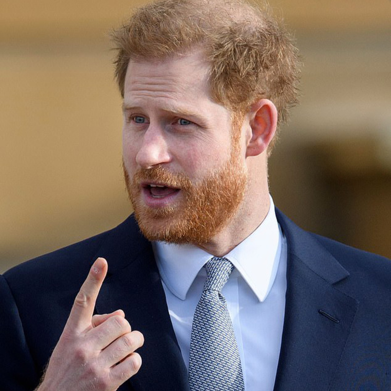  الأمير هاري 