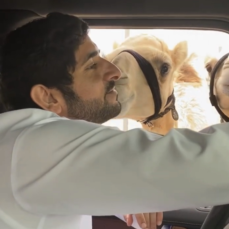 فزاع عاشق الحياة البرية يتلقى قبلة محبة من "إعمار"