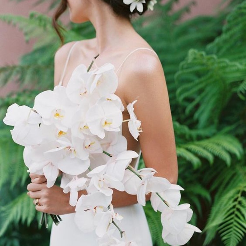 مسكات عروس ناعمه بازهار الاوركيدا الملونة