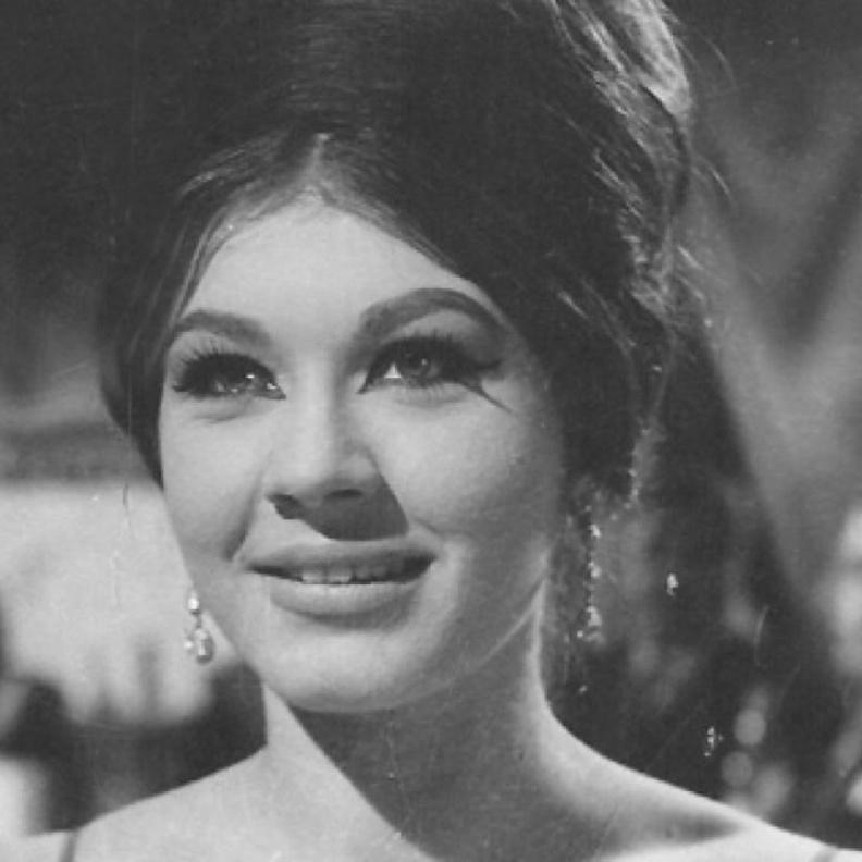 الفنانة شويكار