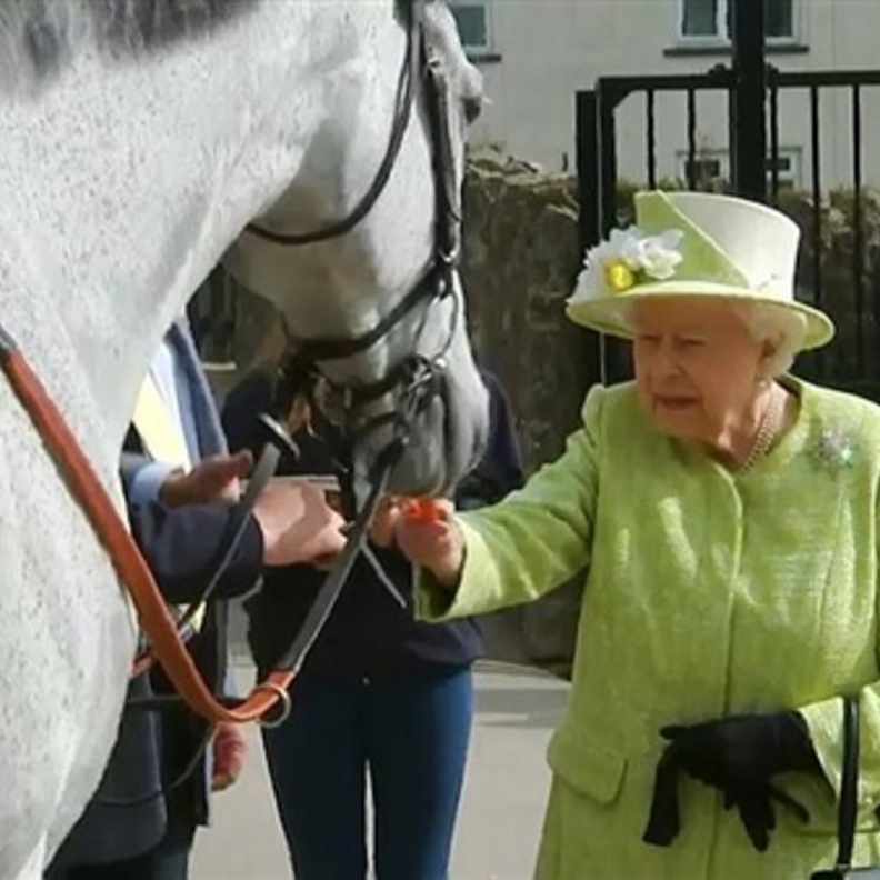 الملكة إليزابيث الثانية تطعم حصان في سومرست بغرب إنجلترا