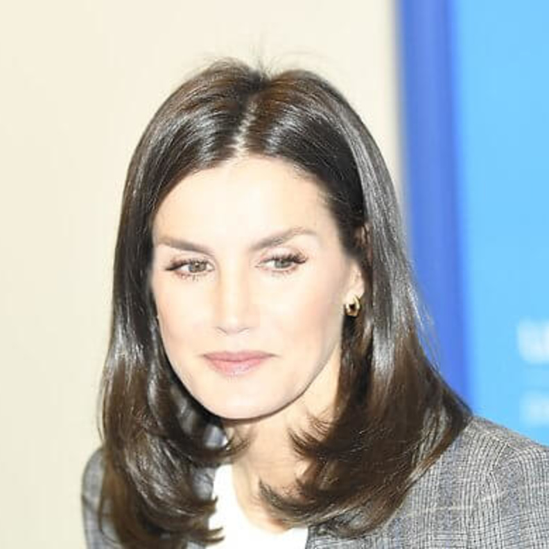 الملكة ليتيزيا في اجتماع عمل مع اليونيسيف