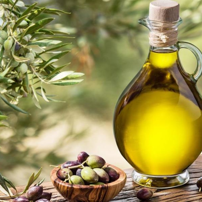 زيت الزيتون عنصر القوة في النظام المتوسطي