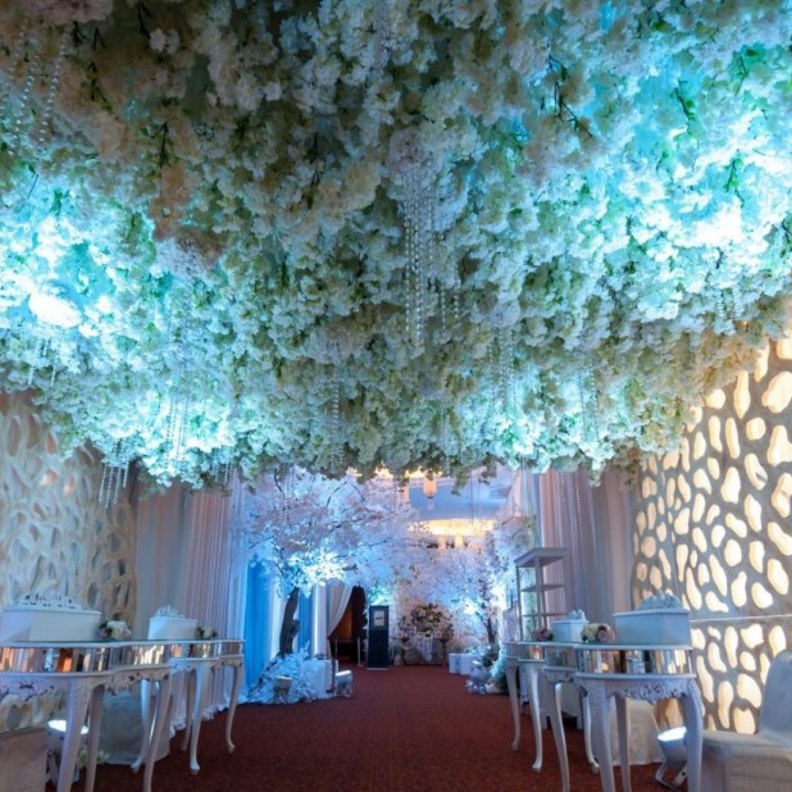  إضاءة مميزة باللون التركوازي