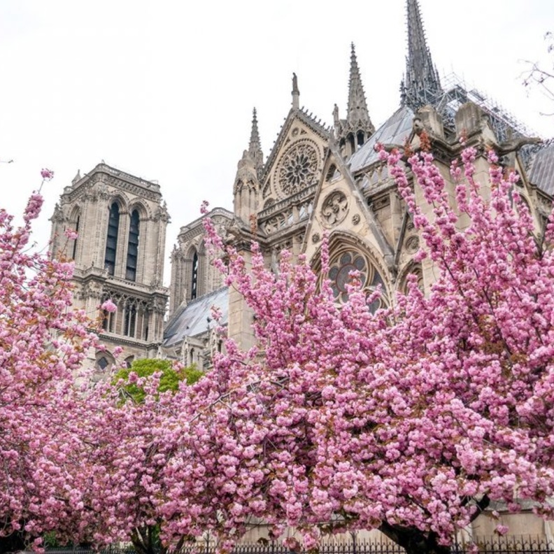 الربيع في باريس.. بين افضل وجهات سياحية اوروبية