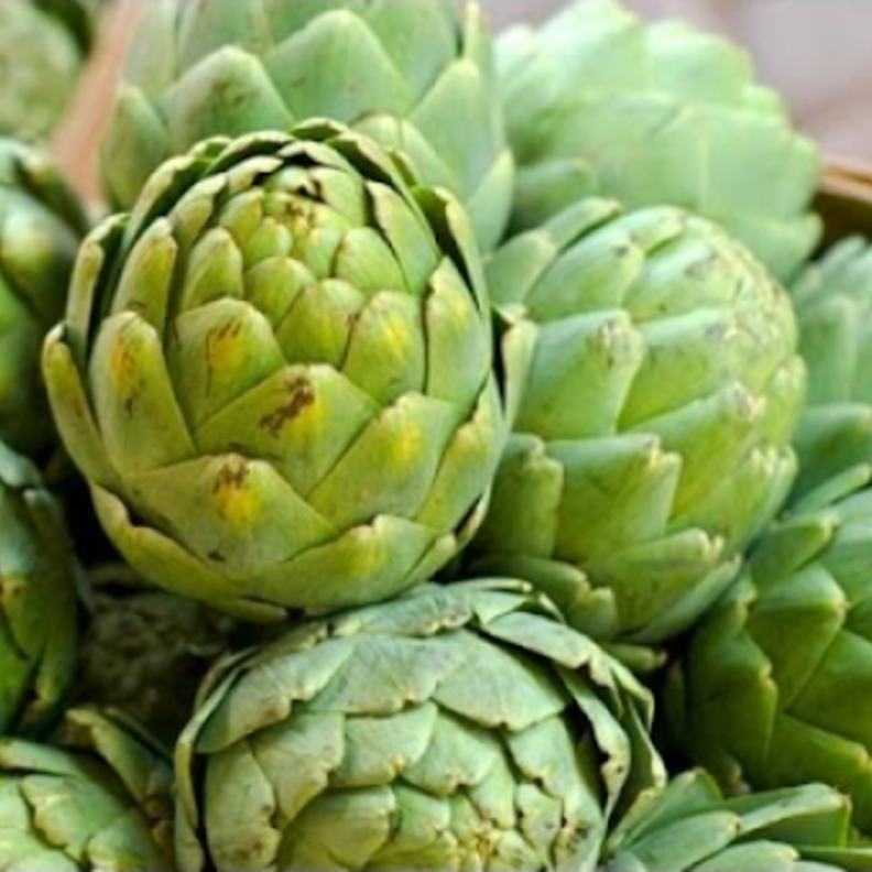 أوراق الخرشوف تعزز صحة الكبد و القولون