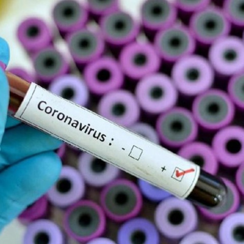 فيروس كورونا