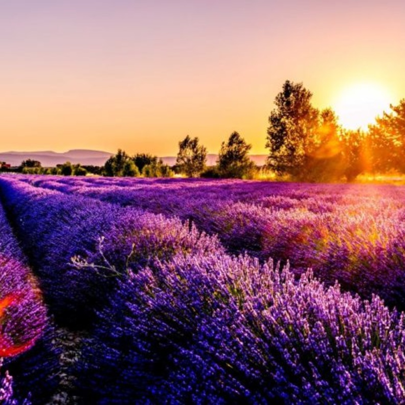 اجازة الربيع.. اليكم ابرز نصائح السفر