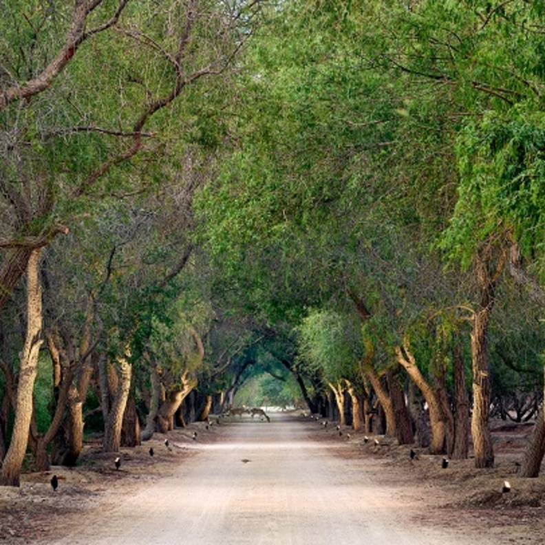 "الجرف" وجهة ساحلية مستوحاة من التراث الإماراتي العريق