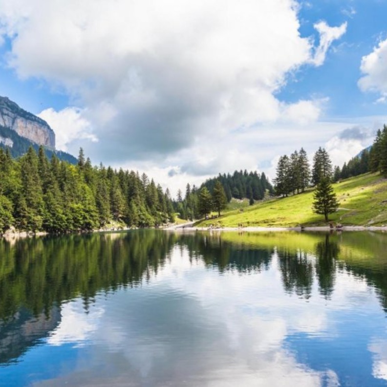 سحر الطبيعة في قرية ابنزل من أجمل مدن الريف