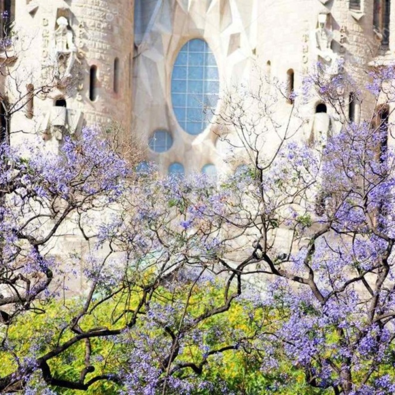 اجمل انشطة سياحية في برشلونة في الربيع