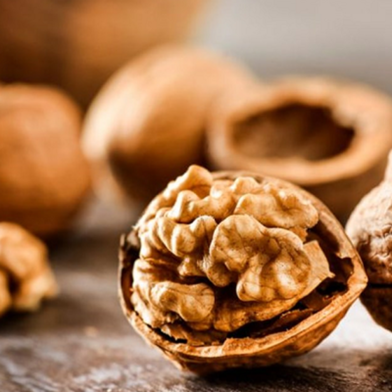 الجوز يعزز صحة الدماغ وهو يشبهه في الشكل