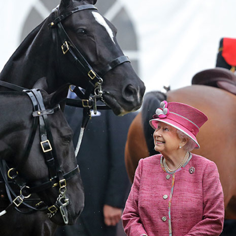 إلغاء سباق رويال وندسور للخيول بسبب كورونا