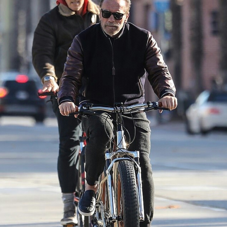 أرنولد شوارزينجر 