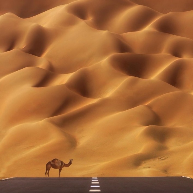 أجمل الصور والمناظر الطبيعية للصحراء من حول العالم 