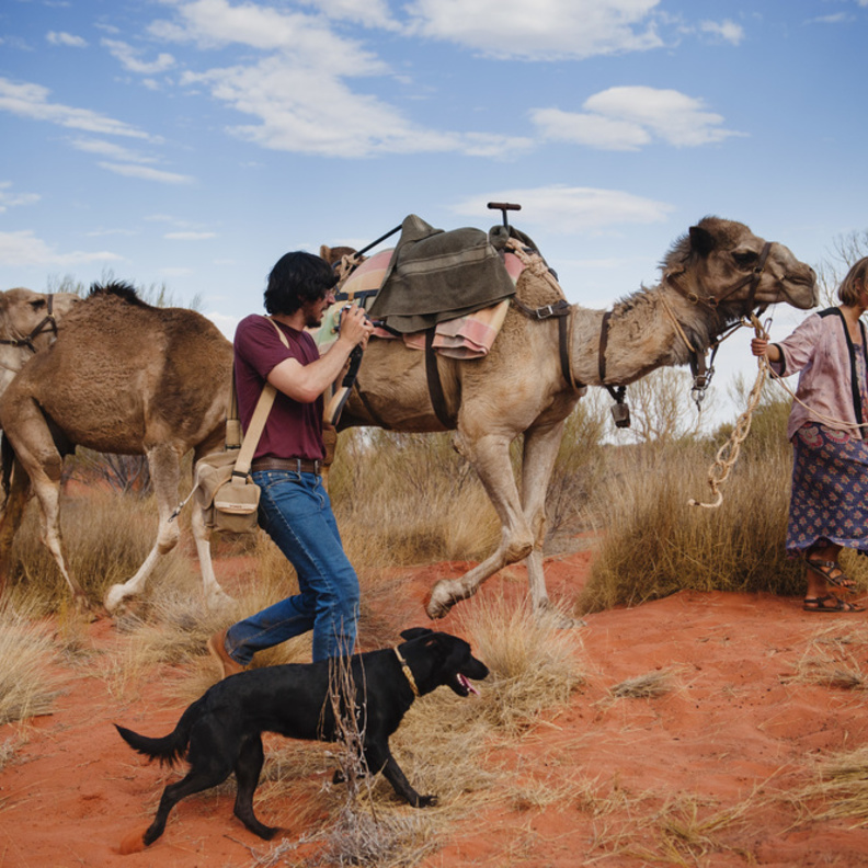  مشهد من Tracks