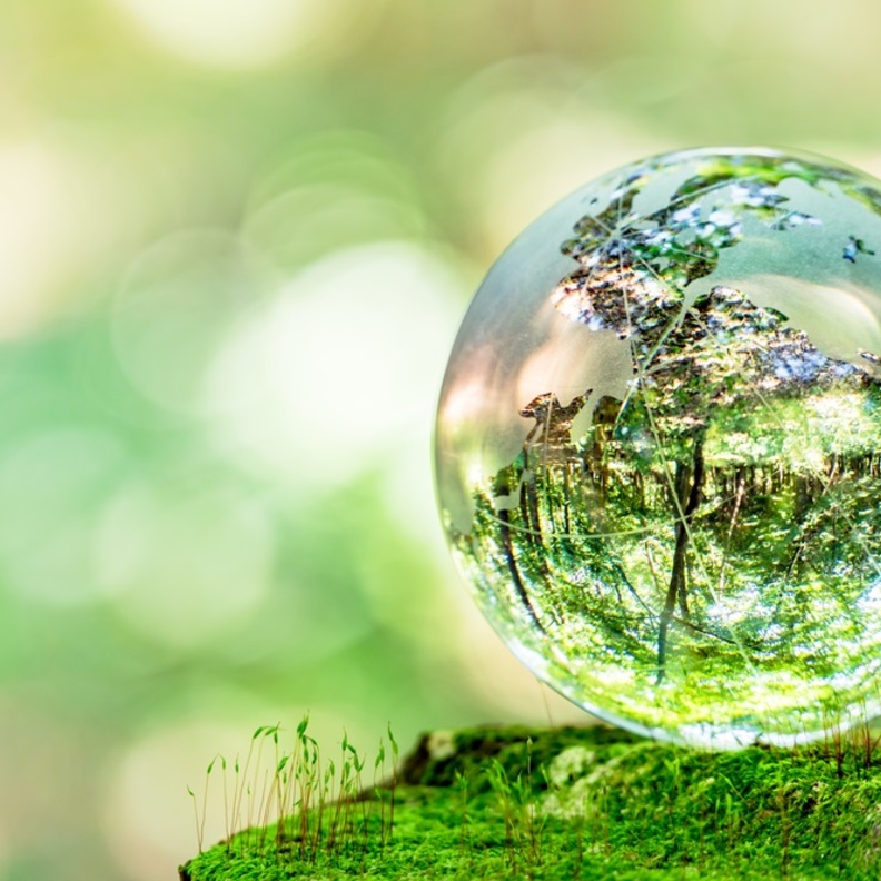 تعافي طبقة الاوزون والأرض من إيجابيات فيروس كورونا