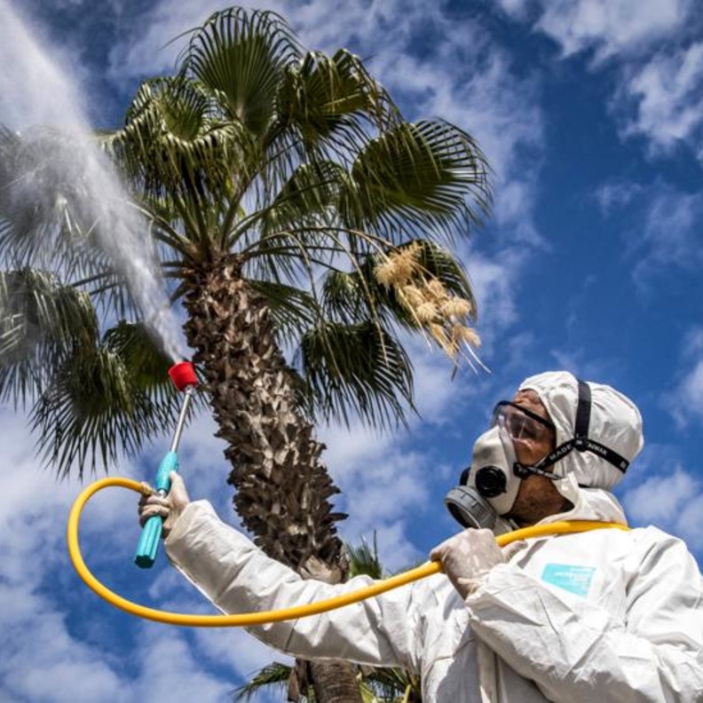 التغيرات في الطقس تؤثر على انتشار كورونا