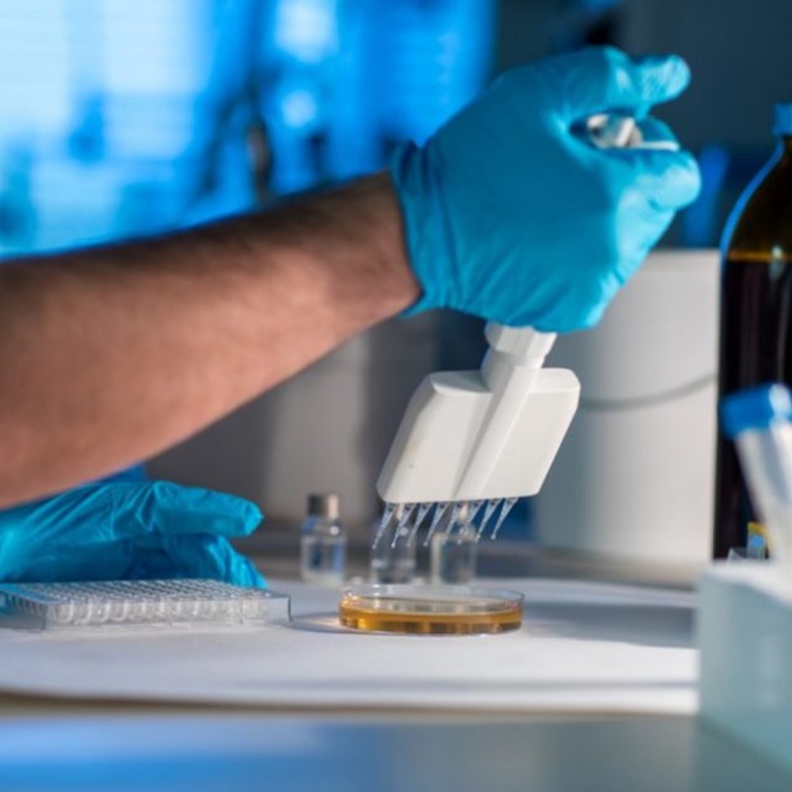 دول العالم تسعى للوصول إلى علاج لفيروس كورونا