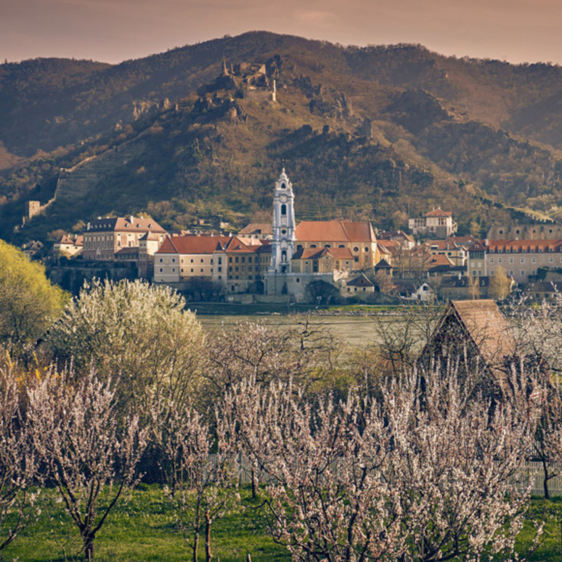 اكتشفوا ثقافة وطبيعة النمسا الخلابة مع الجولات الإفتراضية