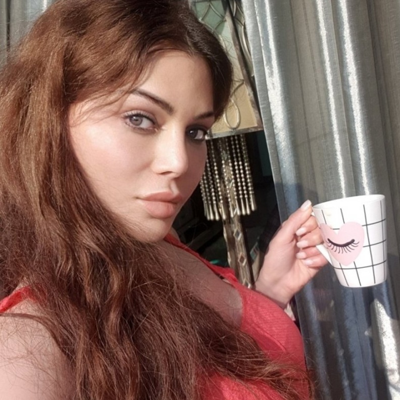 هيفاء وهبي في الحجر المنزلي