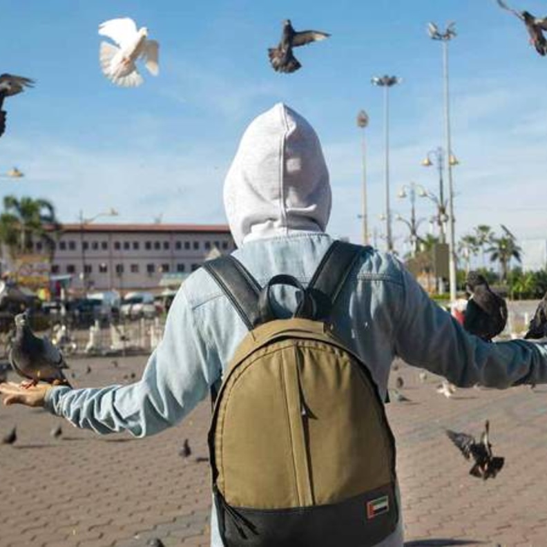 برنامج غيث "قلبي اطمأن"