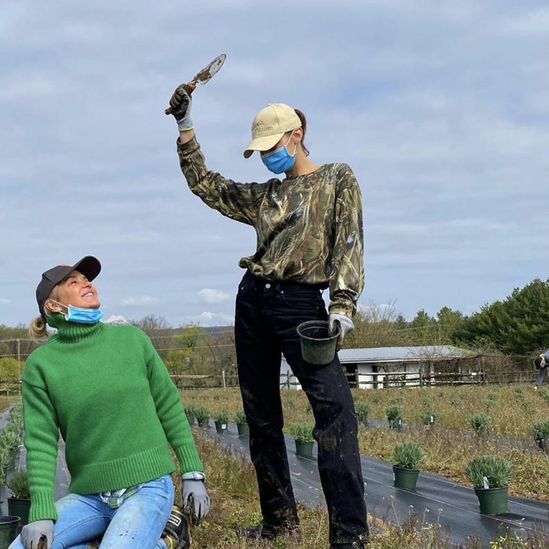 بيلا حديد تقضي وقت الحجر الصحي بزراعة اللافندر مع أمها