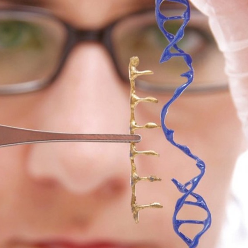  الإمارات تطور علاج لفيروس كورونا بالخلايا الجذعية