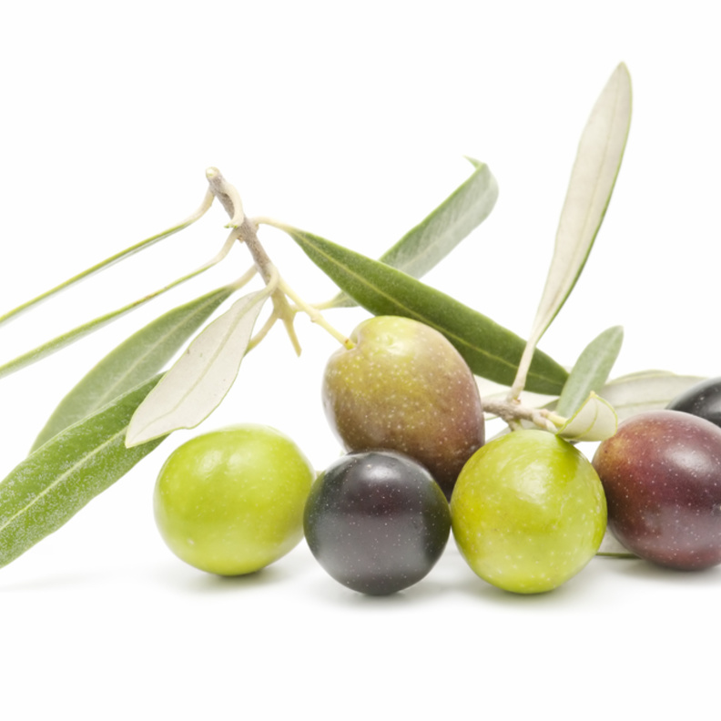  فوائد أوراق الزيتون لإنقاص الوزن