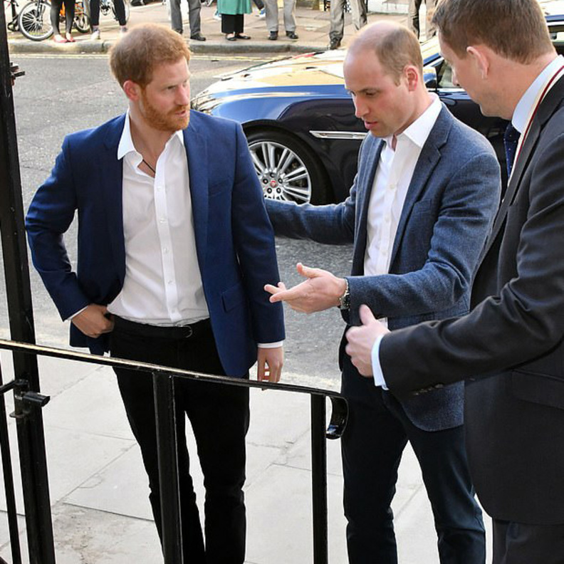 العلاقة بين الأميرين وليام وهاري أصبحت على النقيض