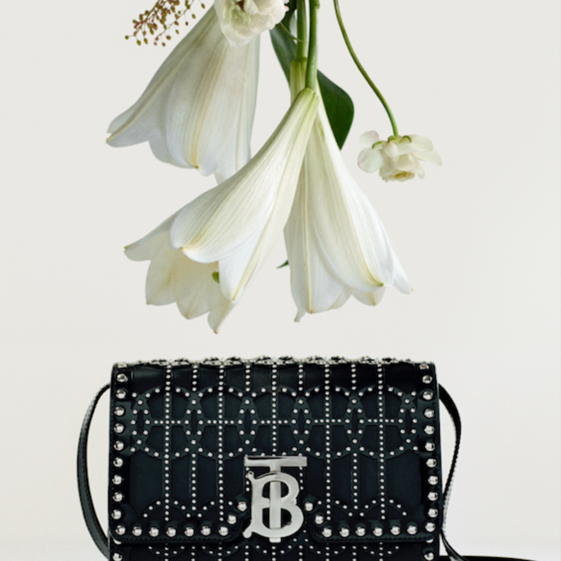 حقيبة TB من بربري