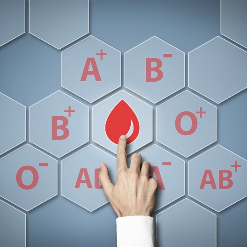 افضل الانظمة الغذائية و الرجيم الذي يناسب فصيلة الدم بي