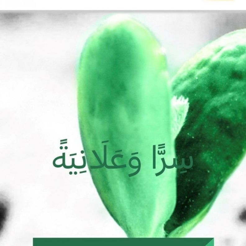  وزير الموارد البشرية يطلق المنصة الوطنية للتبرعات