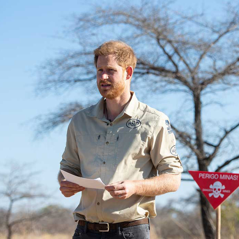 مؤسسة Halo Trust الخيرية فيها 8.500 موظف