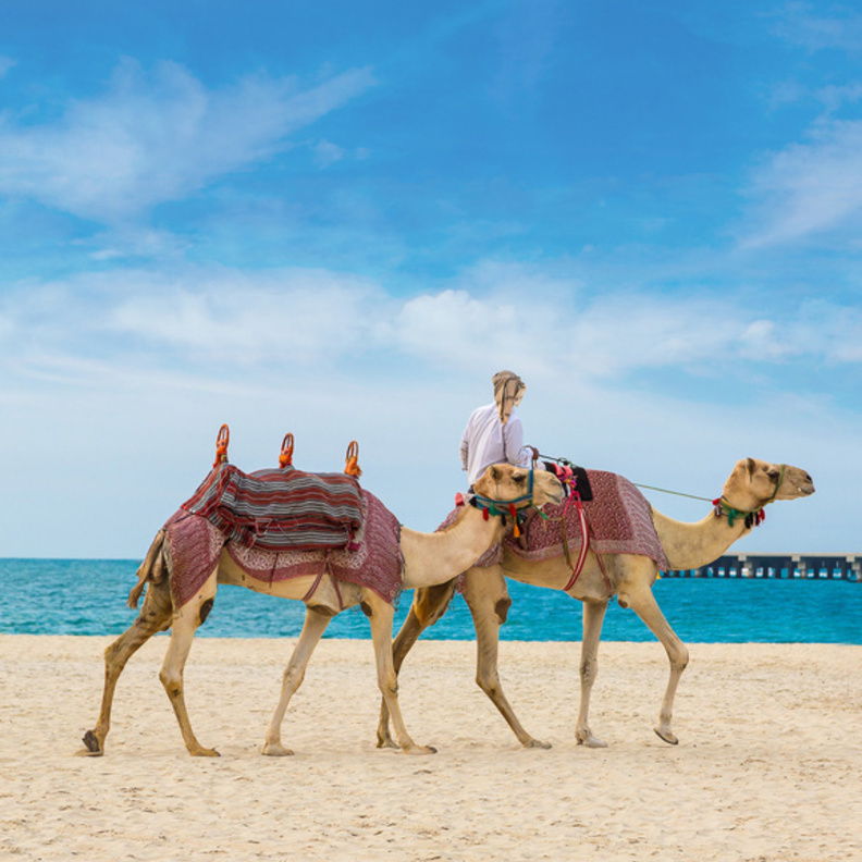 افضل 5 مدن متعددة الثقافات في العالم